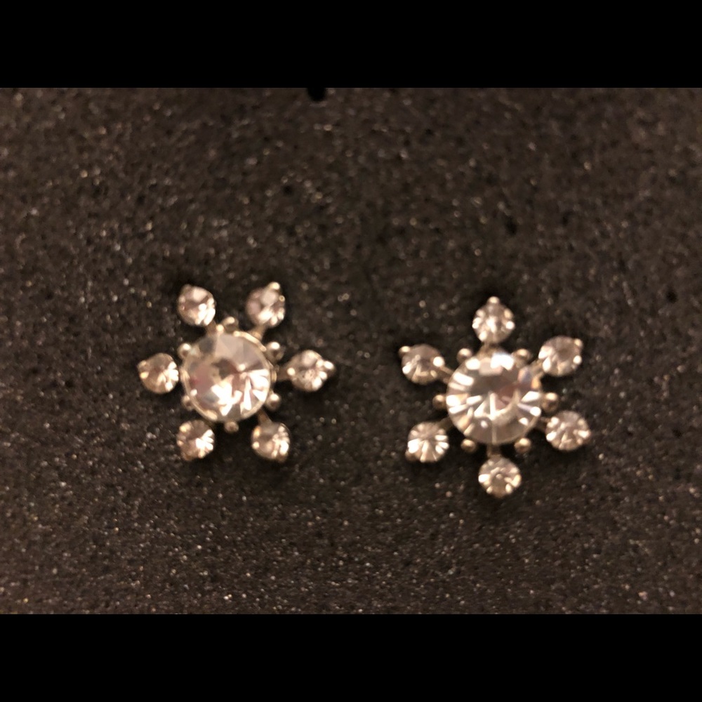 Snowflake Earrings in Silver